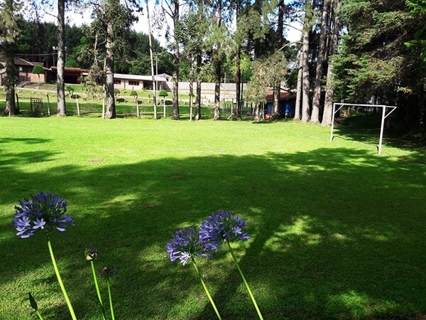 campo-de-futebol
